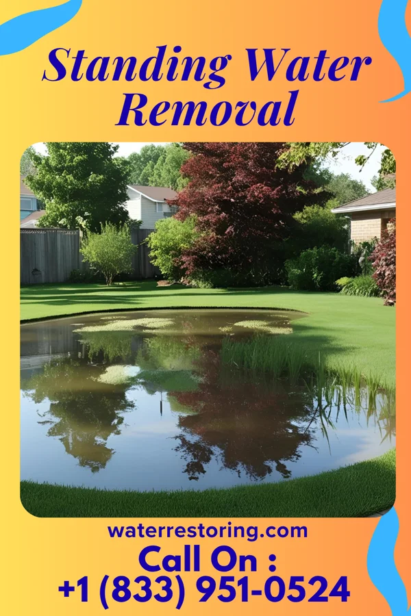 Standing Water Removal in Fort Morgan, CO